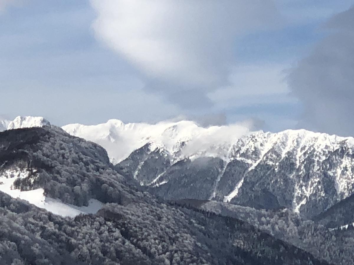 Bran Monte Crai Chalet מראה חיצוני תמונה